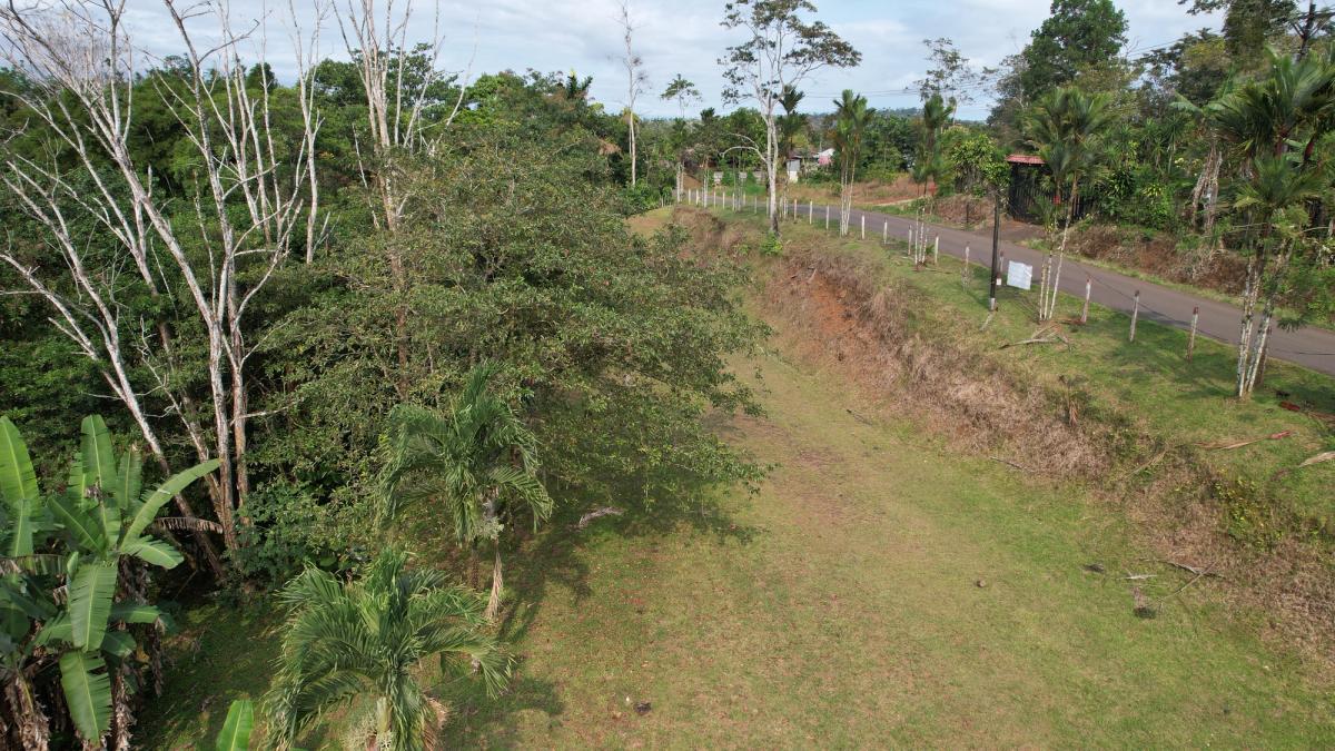 Stunning 6.4-Acre Lakefront Estate with Tourism Potential in La Palmera