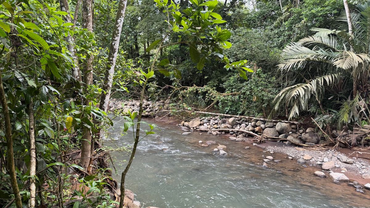 Land for Country Home in La Tigra, San Carlos: Bordering River
