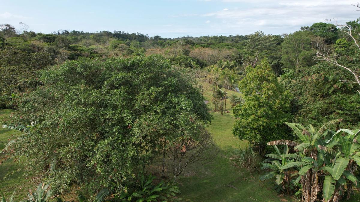Stunning 6.4-Acre Lakefront Estate with Tourism Potential in La Palmera