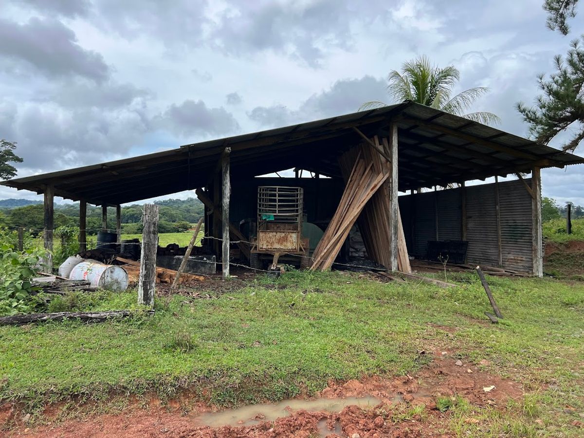 Cattle ranch in Costa Rica, San Carlos