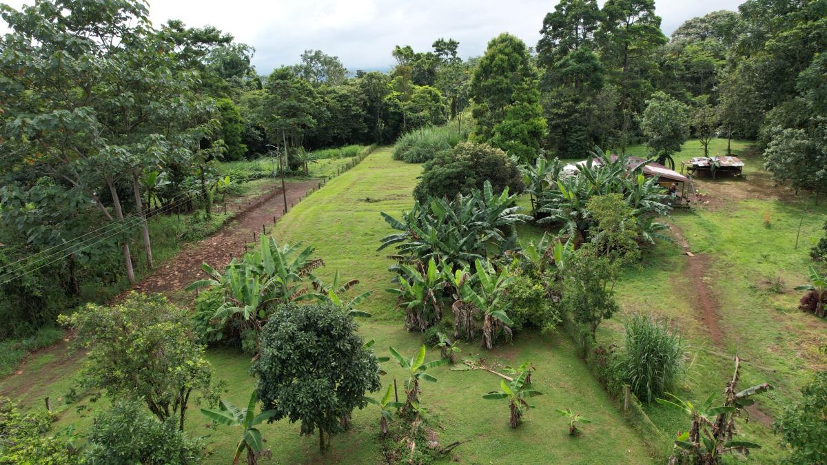 Land for Country Home in La Tigra, San Carlos: Bordering River