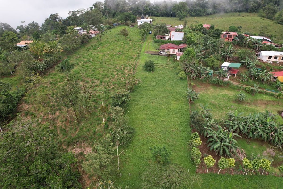Home with Large Lot for Sale in La Tesalia | San Carlos