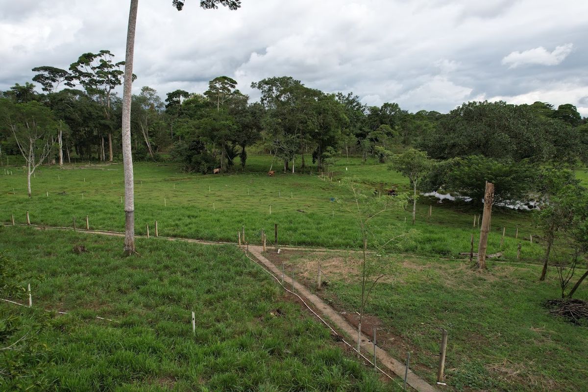 7-Hectare Self-Sufficient Dairy Farm and Cabin in Los Chiles