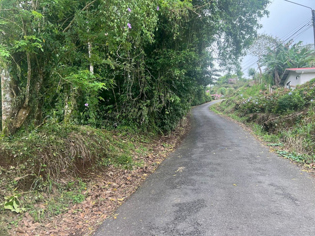3,000 sqm Flat Lot in San Gerardo: Nature & Investment Opportunity