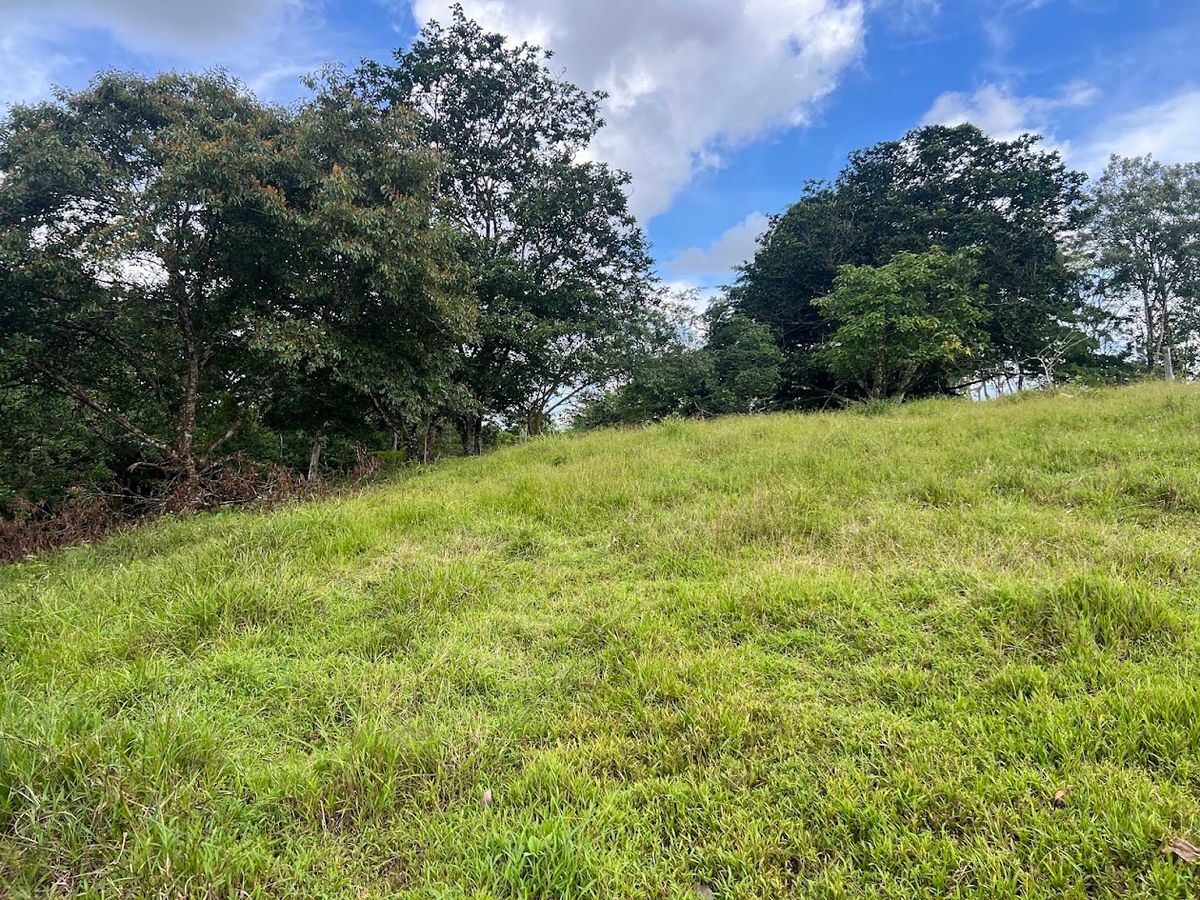 4,036 sqm Versatile Rural Lot in San Jorge de Cutris, San Carlos