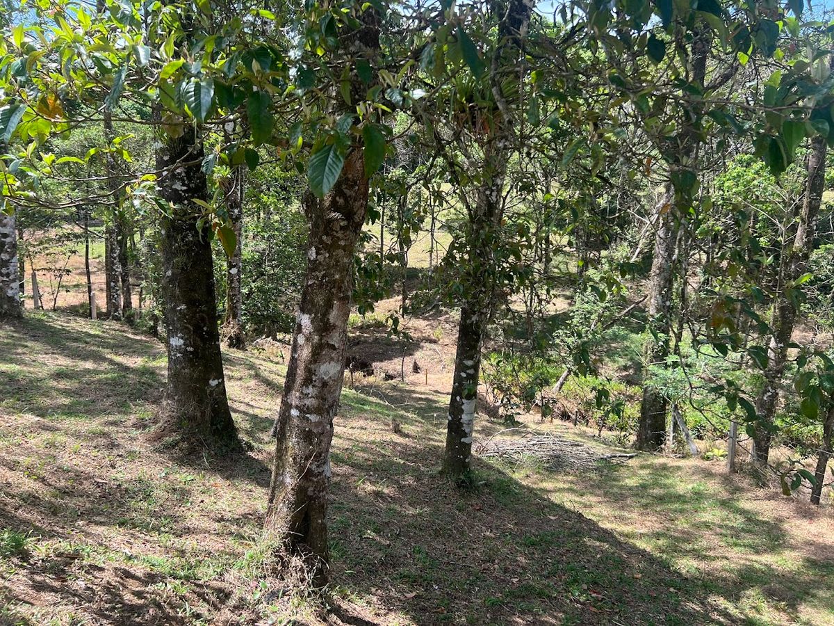 Lot in Linda Vista, La Tesalia San Carlos: Private Retreat