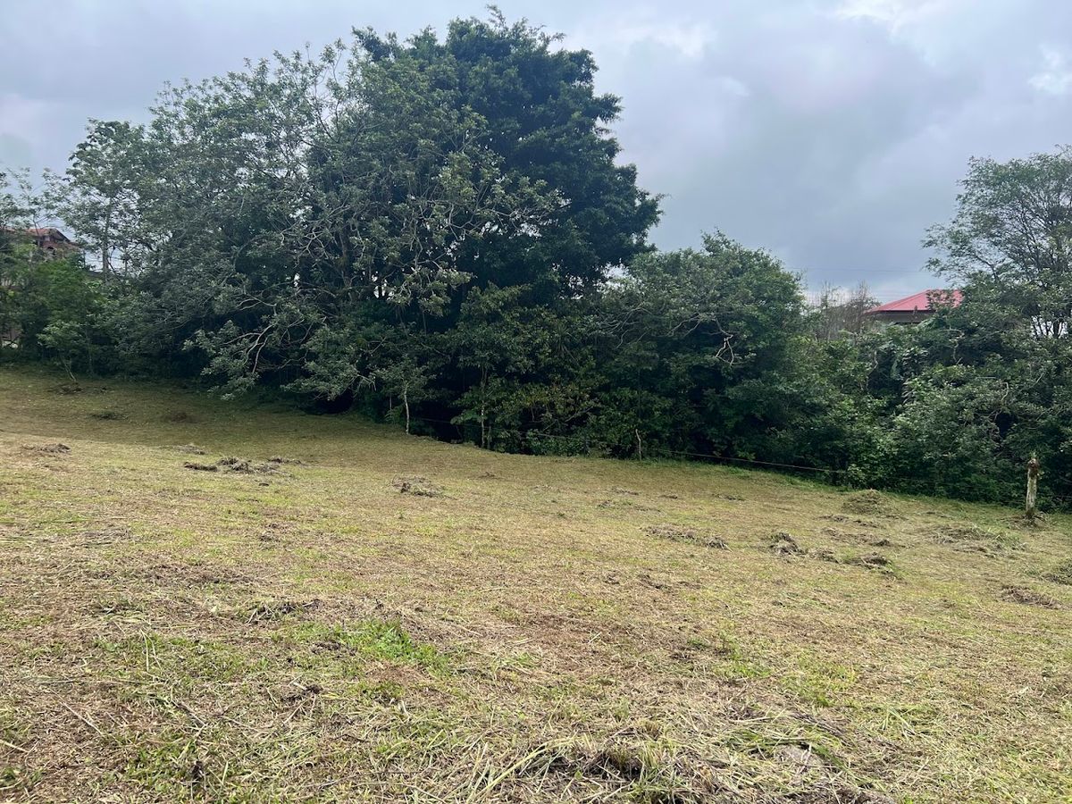 3,000 sqm Flat Lot in San Gerardo: Nature & Investment Opportunity
