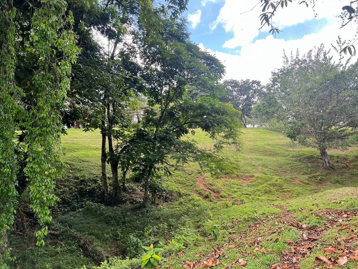 4,036 sqm Versatile Rural Lot in San Jorge de Cutris, San Carlos