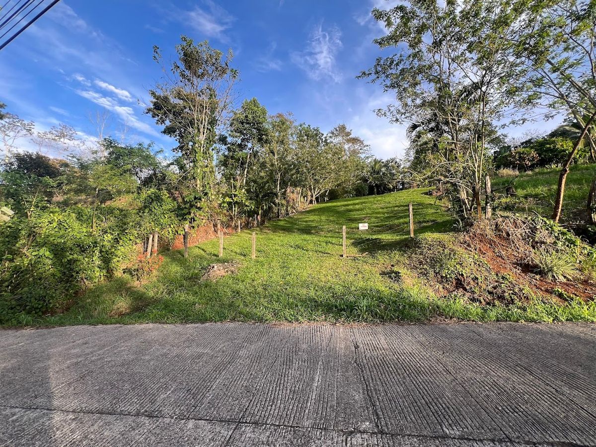 Lot in Cuestillas, Florencia with Panoramic Views