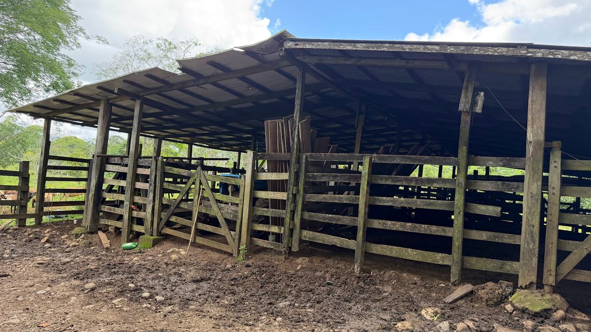 Fully Operational Livestock Development in Cuatro Esquinas