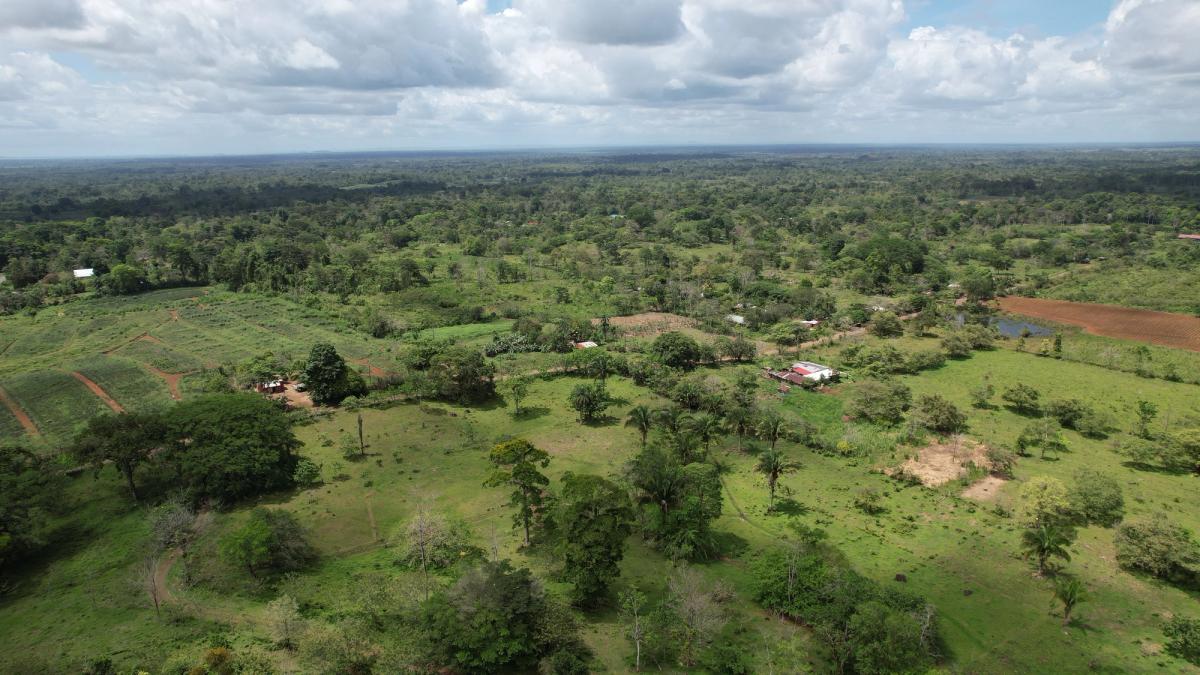 Fully Operational Livestock Development in Cuatro Esquinas
