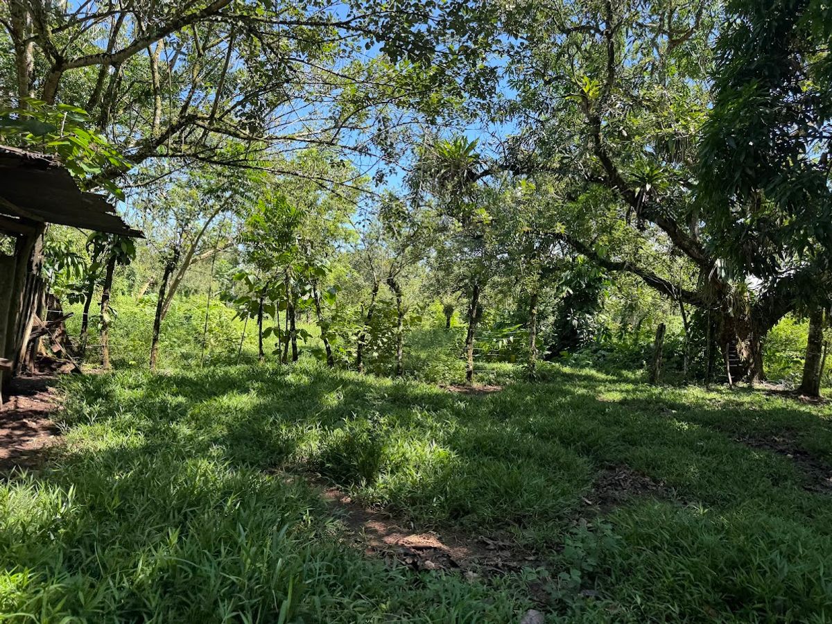 3.6-Hectare Livestock & Commercial Farm in La Vega: Main Road Frontage