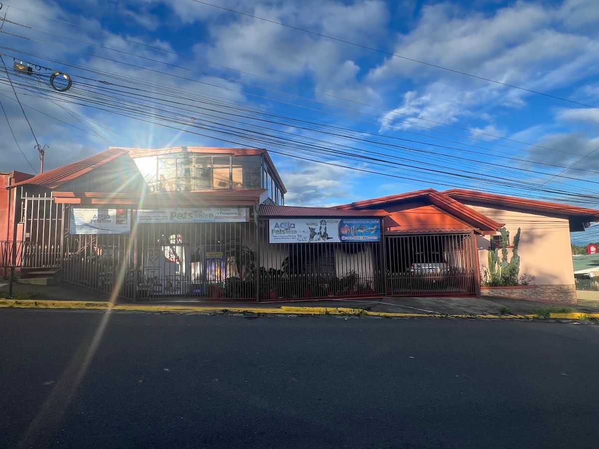 Prime Commercial Property in Downtown Ciudad Quesada: High-Yield Investment