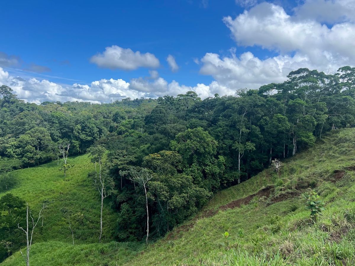 Lote en Puente Casa de 900 metros cuadrados: Hermosas Vistas