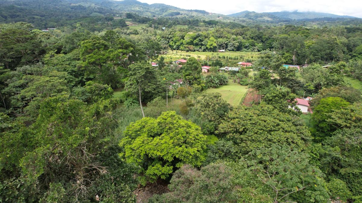 Land for Country Home in La Tigra, San Carlos: Bordering River