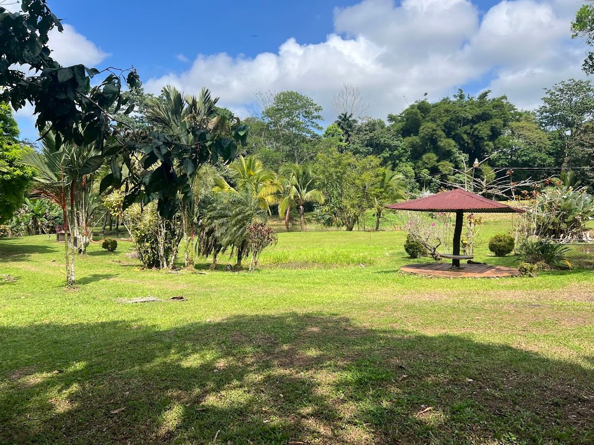 Stunning 6.4-Acre Lakefront Estate with Tourism Potential in La Palmera