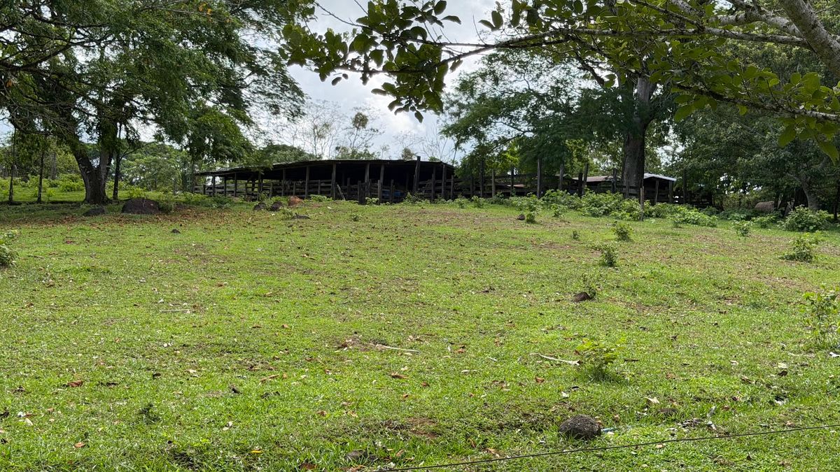 Fully Operational Livestock Development in Cuatro Esquinas