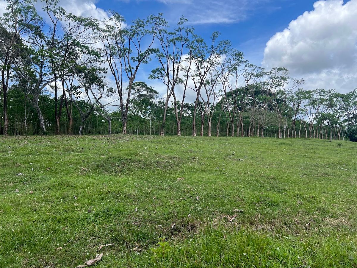 4,036 sqm Versatile Rural Lot in San Jorge de Cutris, San Carlos