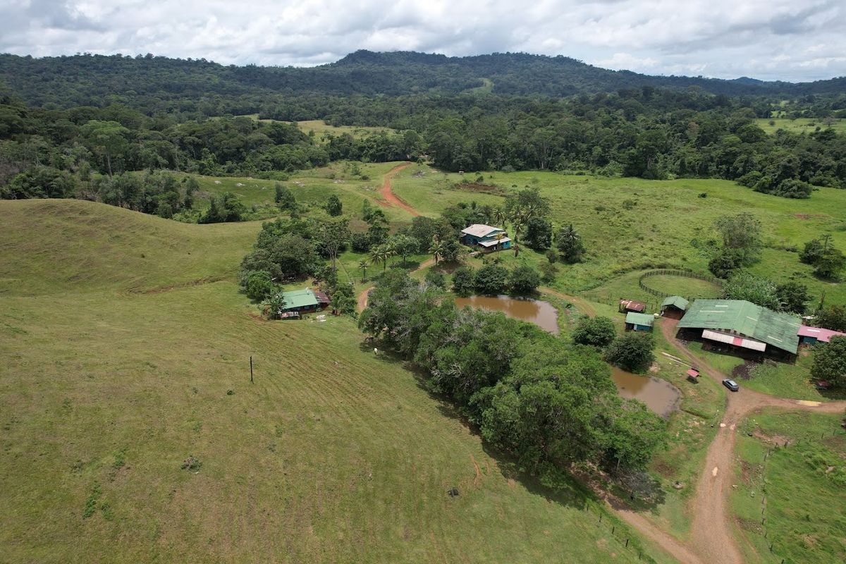 Cattle ranch in Costa Rica, San Carlos