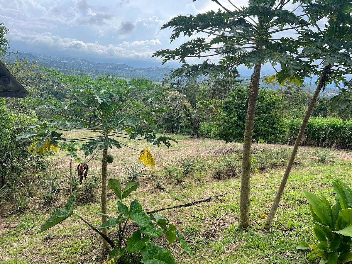 Home with Large Lot for Sale in La Tesalia | San Carlos