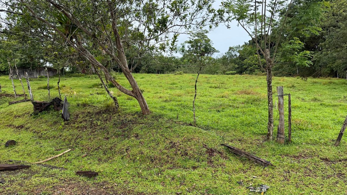 Finca Ganadera entre Upala y Bijagua: Dividida por Vía Nacional