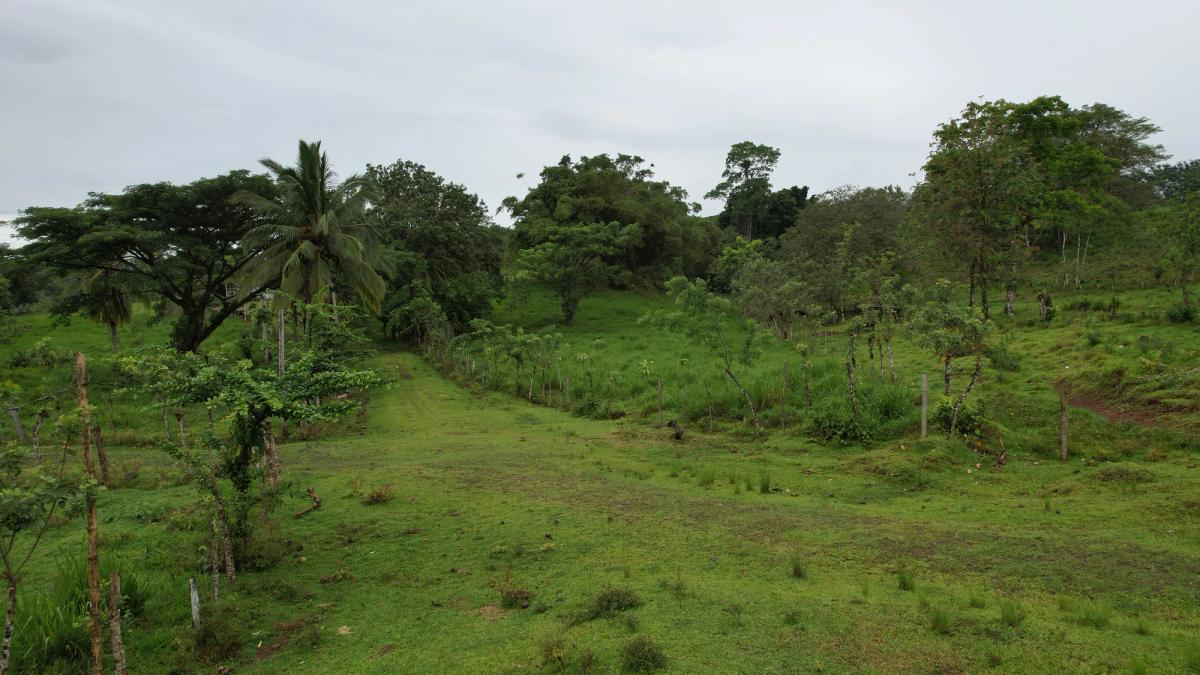 Finca Ganadera entre Upala y Bijagua: Dividida por Vía Nacional