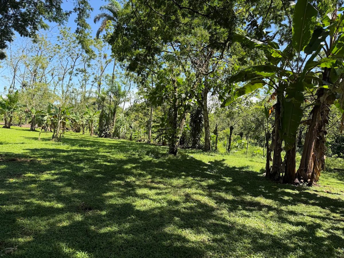 3.6-Hectare Livestock & Commercial Farm in La Vega: Main Road Frontage