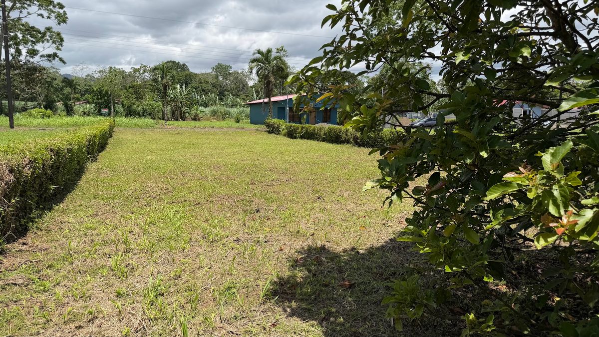 Lote Residencial de 429 m² en Florencia: Privacidad y Gran Potencial