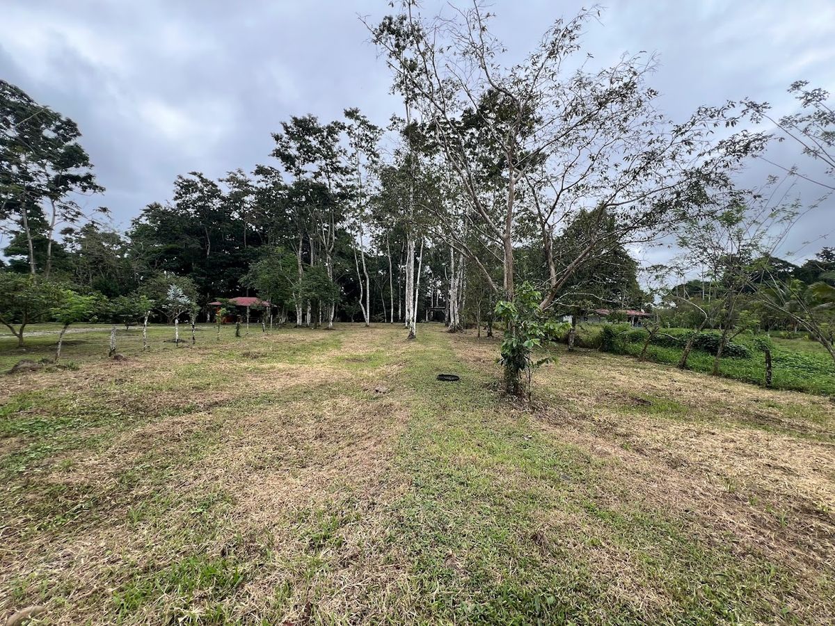 Flat Lot for Sale in Carrizal, Rio Cuarto: Near Hule Lagoon