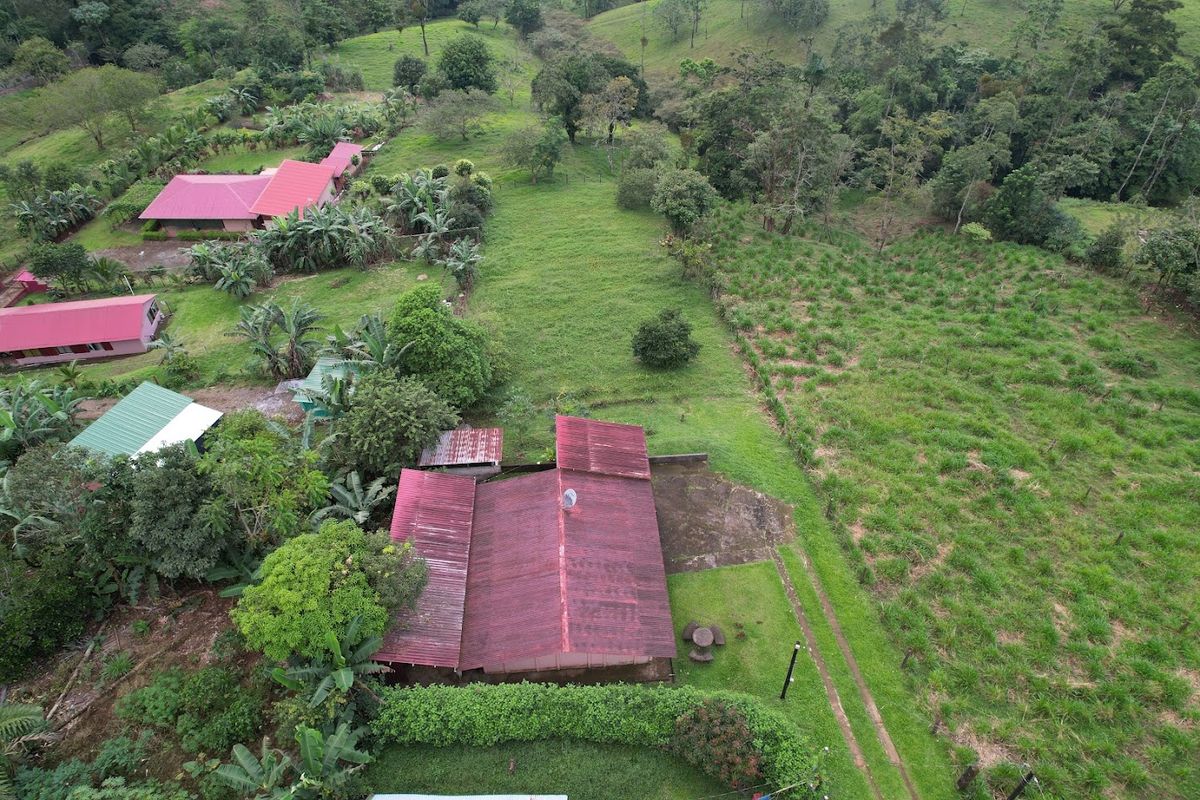 Home with Large Lot for Sale in La Tesalia | San Carlos