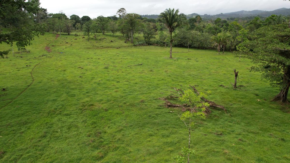 Finca Ganadera entre Upala y Bijagua: Dividida por Vía Nacional