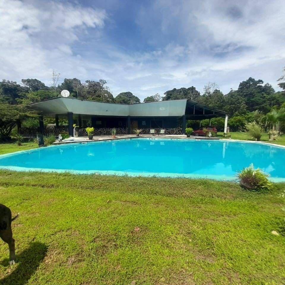 1-Hectare Estate with Pool for Sale in Puerto Viejo, Limon