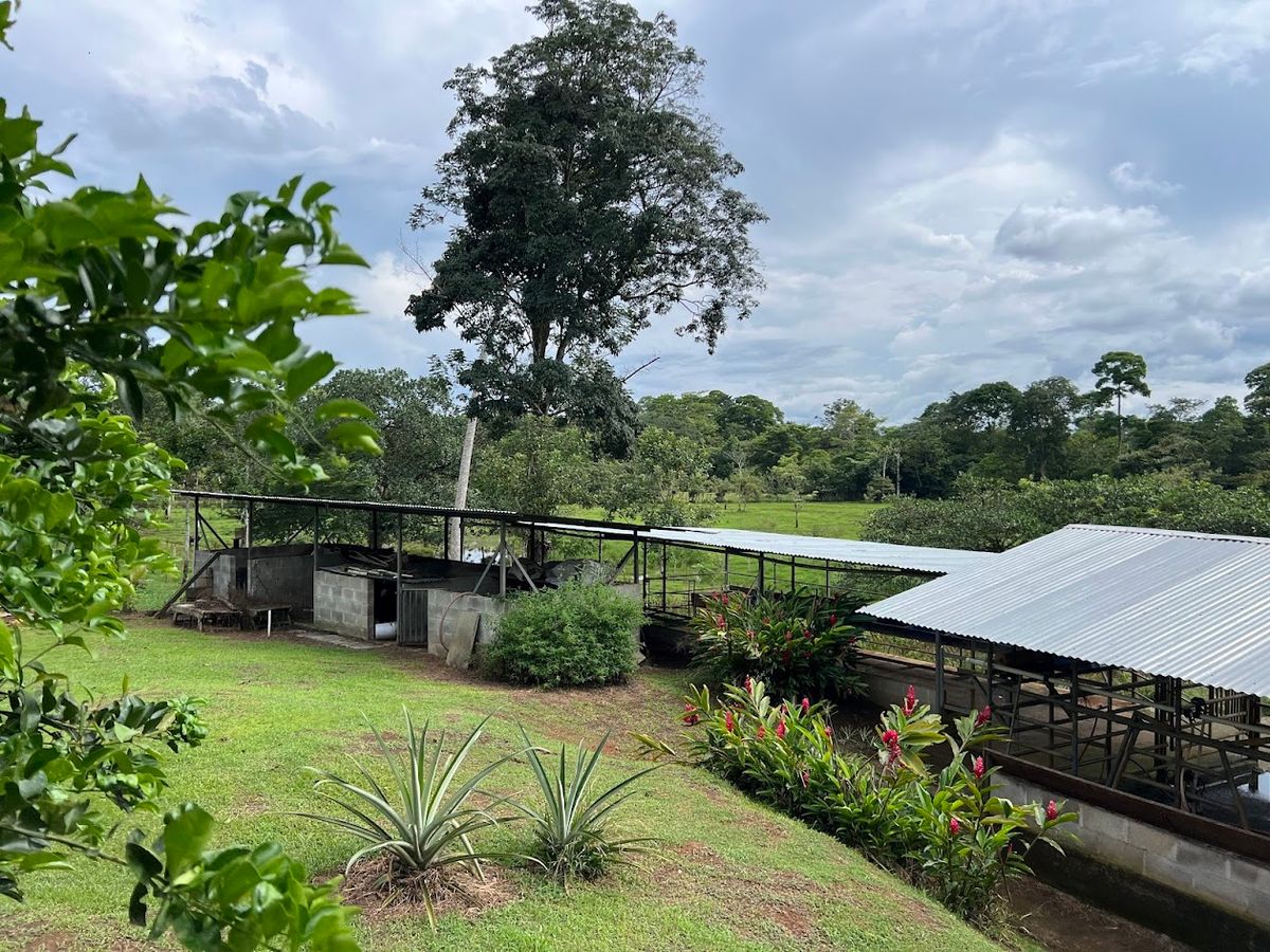 7-Hectare Self-Sufficient Dairy Farm and Cabin in Los Chiles