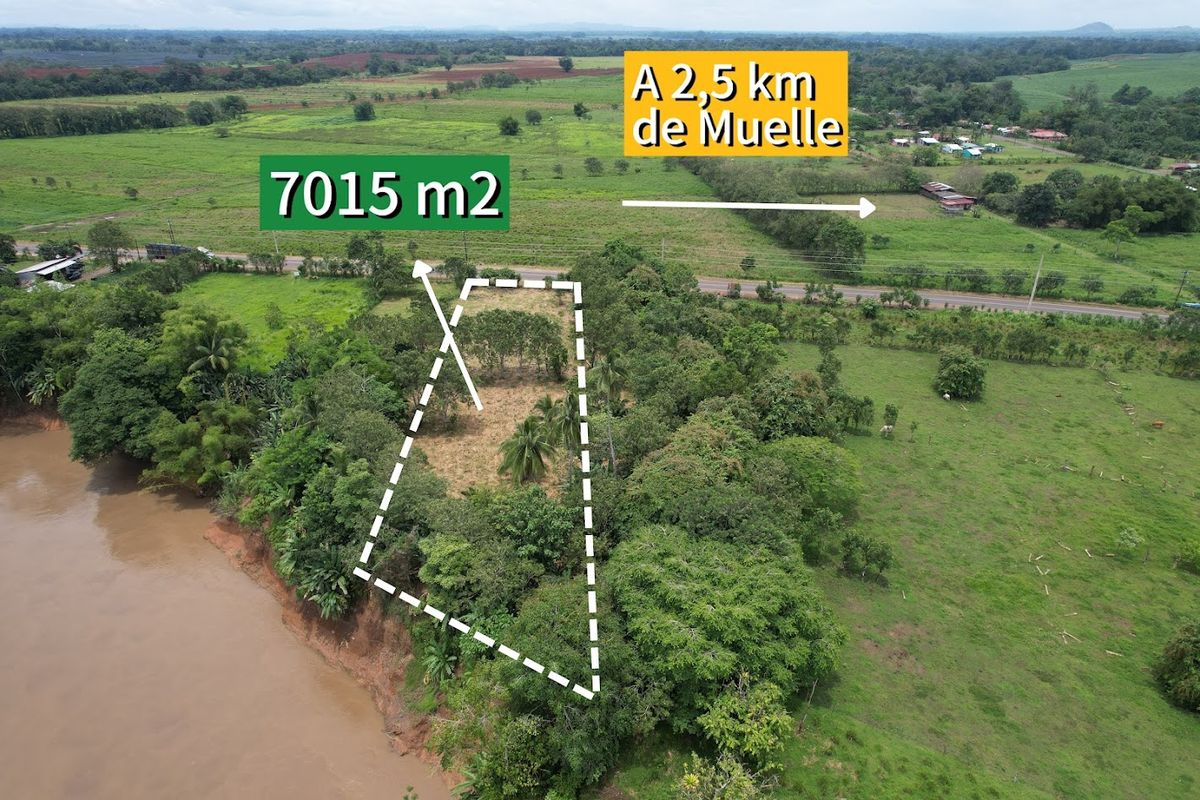 Commercial Land in Boca Arenal: Near Muelle Logistics Hub & Free Trade Zone.