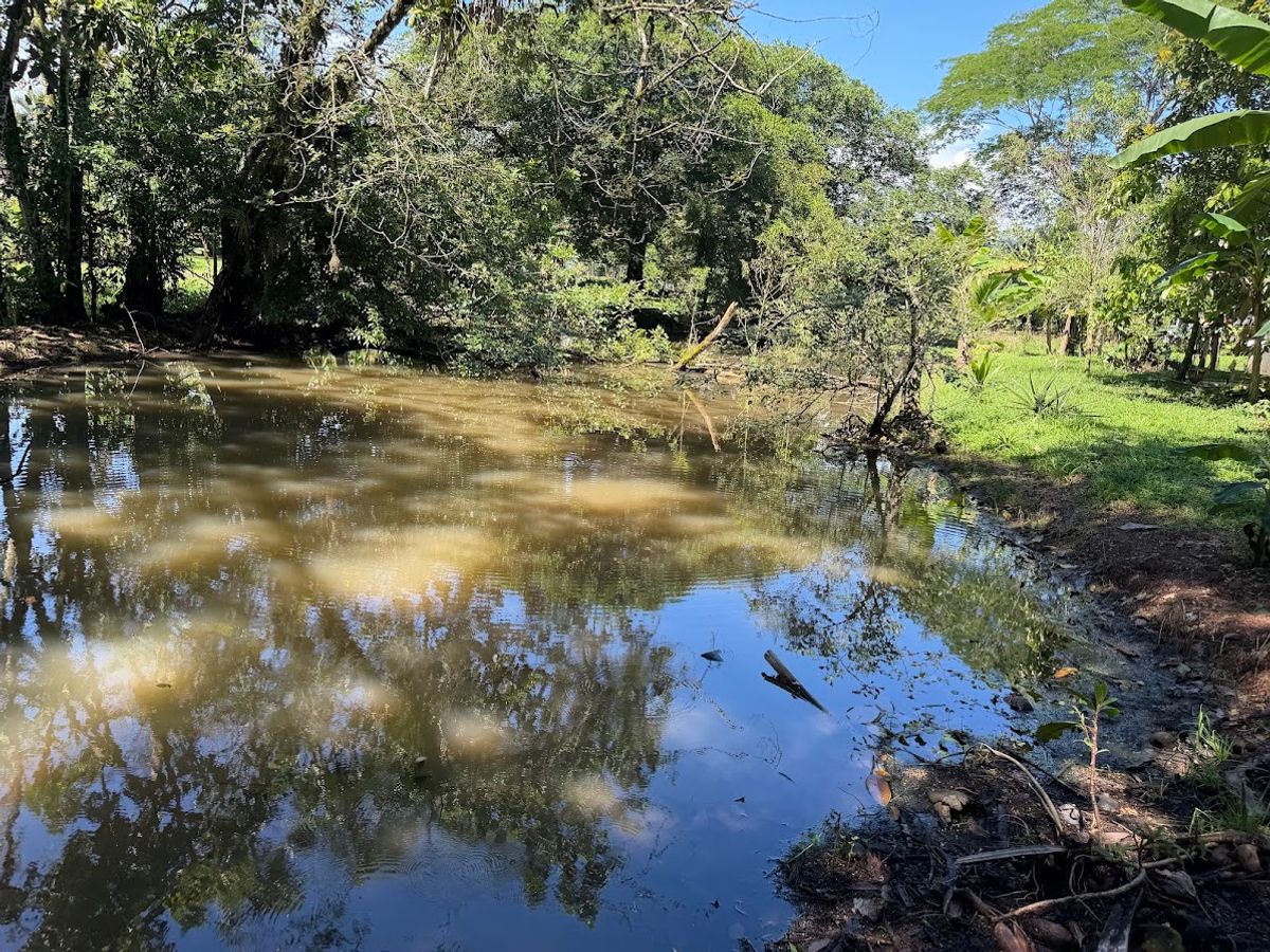3.6-Hectare Livestock & Commercial Farm in La Vega: Main Road Frontage