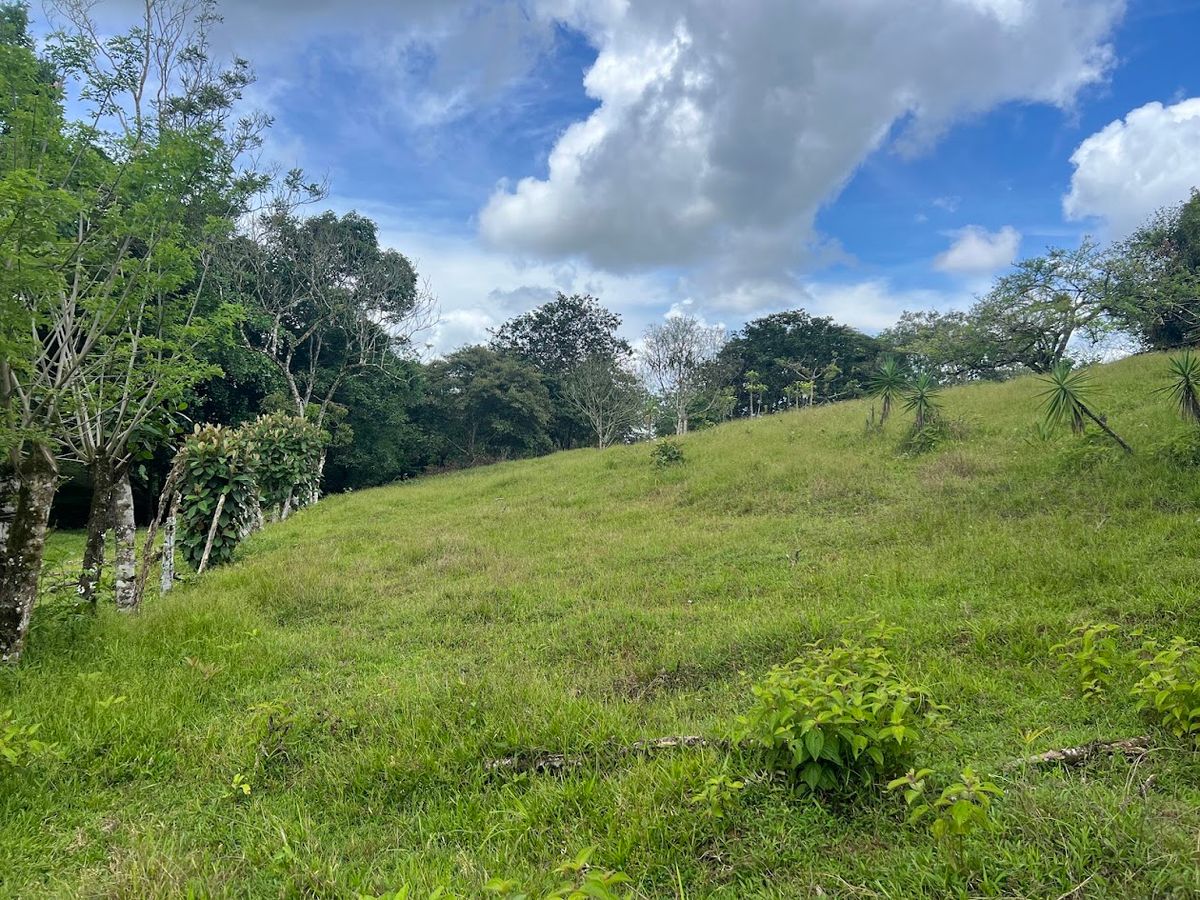 4,036 sqm Versatile Rural Lot in San Jorge de Cutris, San Carlos