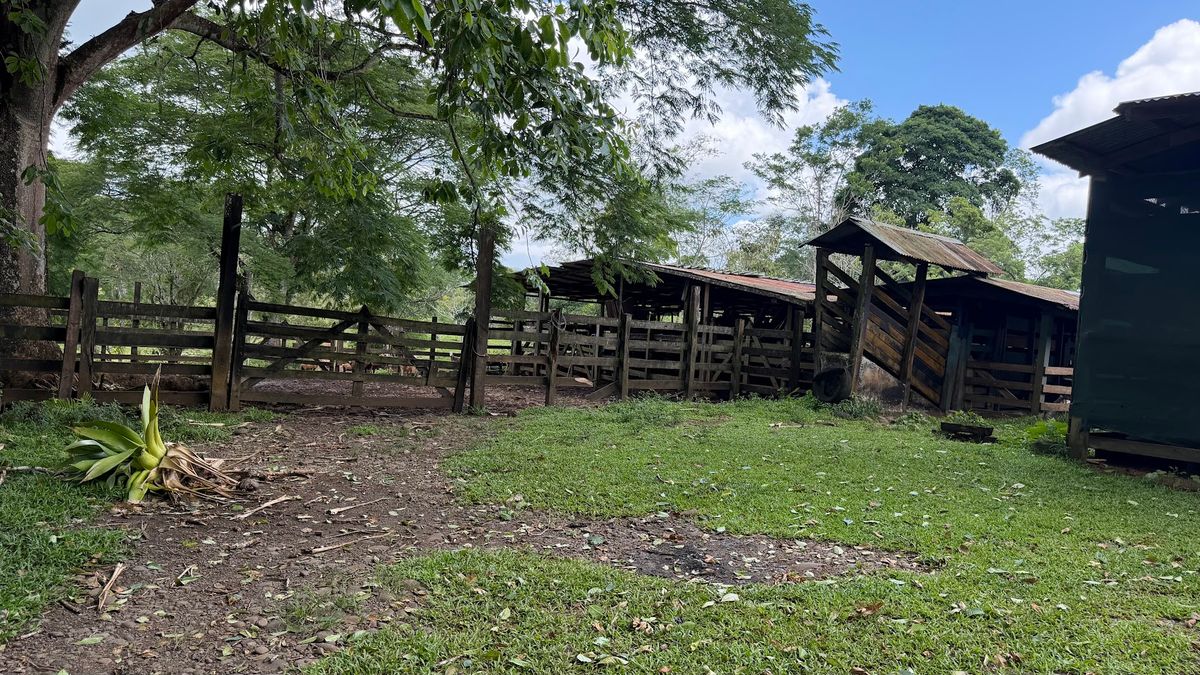 Fully Operational Livestock Development in Cuatro Esquinas