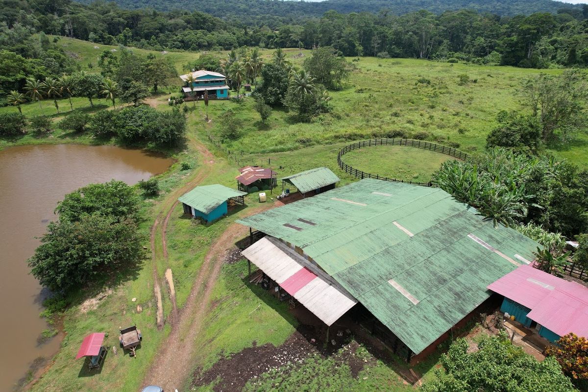 Cattle ranch in Costa Rica, San Carlos