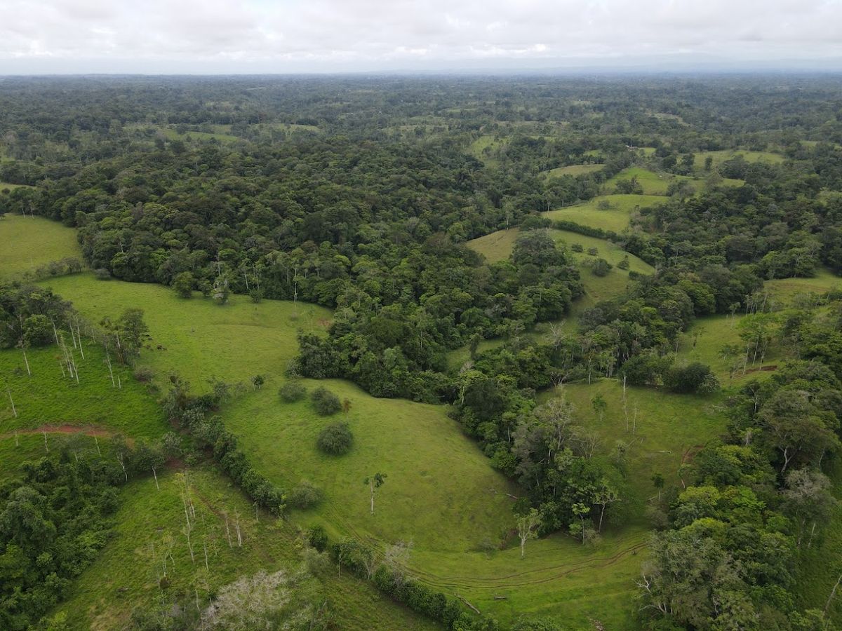 Finca ganadera en San Carlos: Topografía plana, apartos y montaña