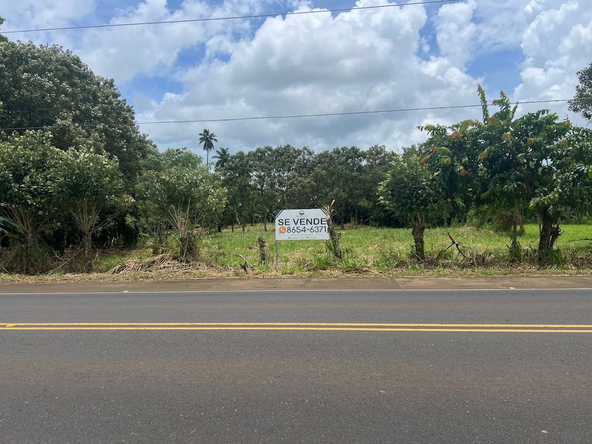 Commercial Land in Boca Arenal: Near Muelle Logistics Hub & Free Trade Zone.