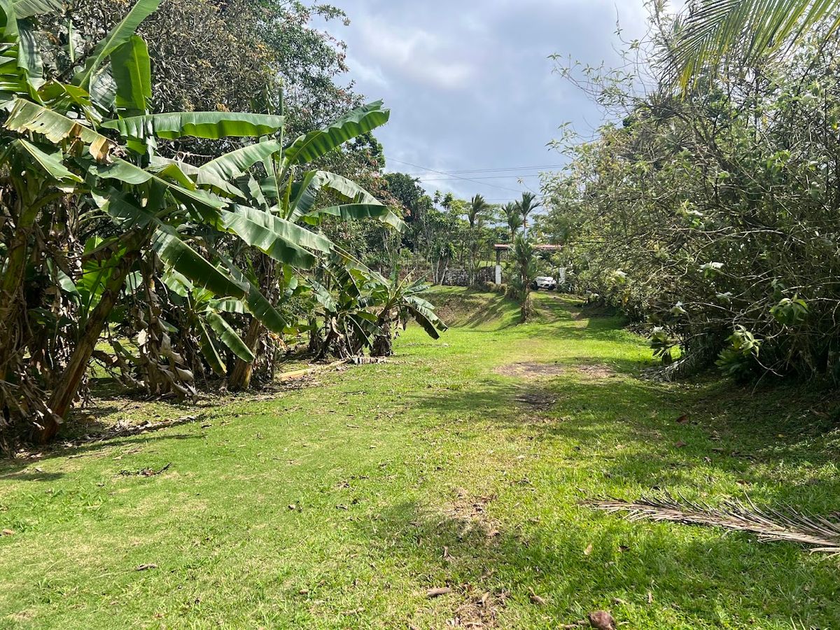 Stunning 6.4-Acre Lakefront Estate with Tourism Potential in La Palmera