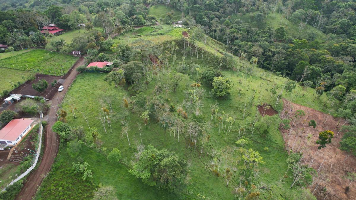 Lotes en Cedral de Ciudad Quesada: Topografía Plana y Paz