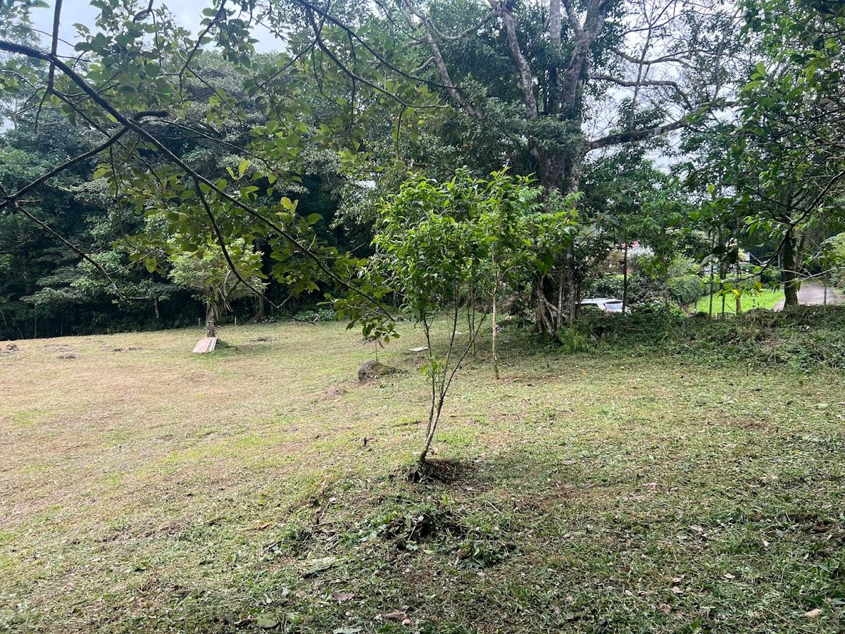 3,000 sqm Flat Lot in San Gerardo: Nature & Investment Opportunity