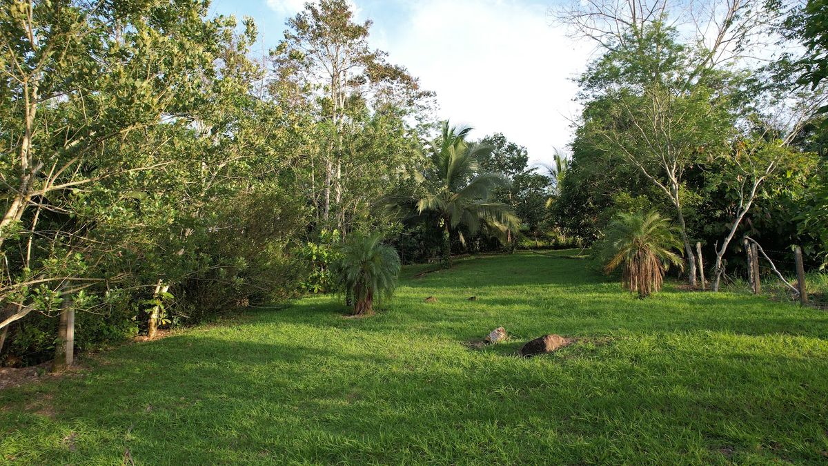 Lot in Cuestillas, Florencia with Panoramic Views