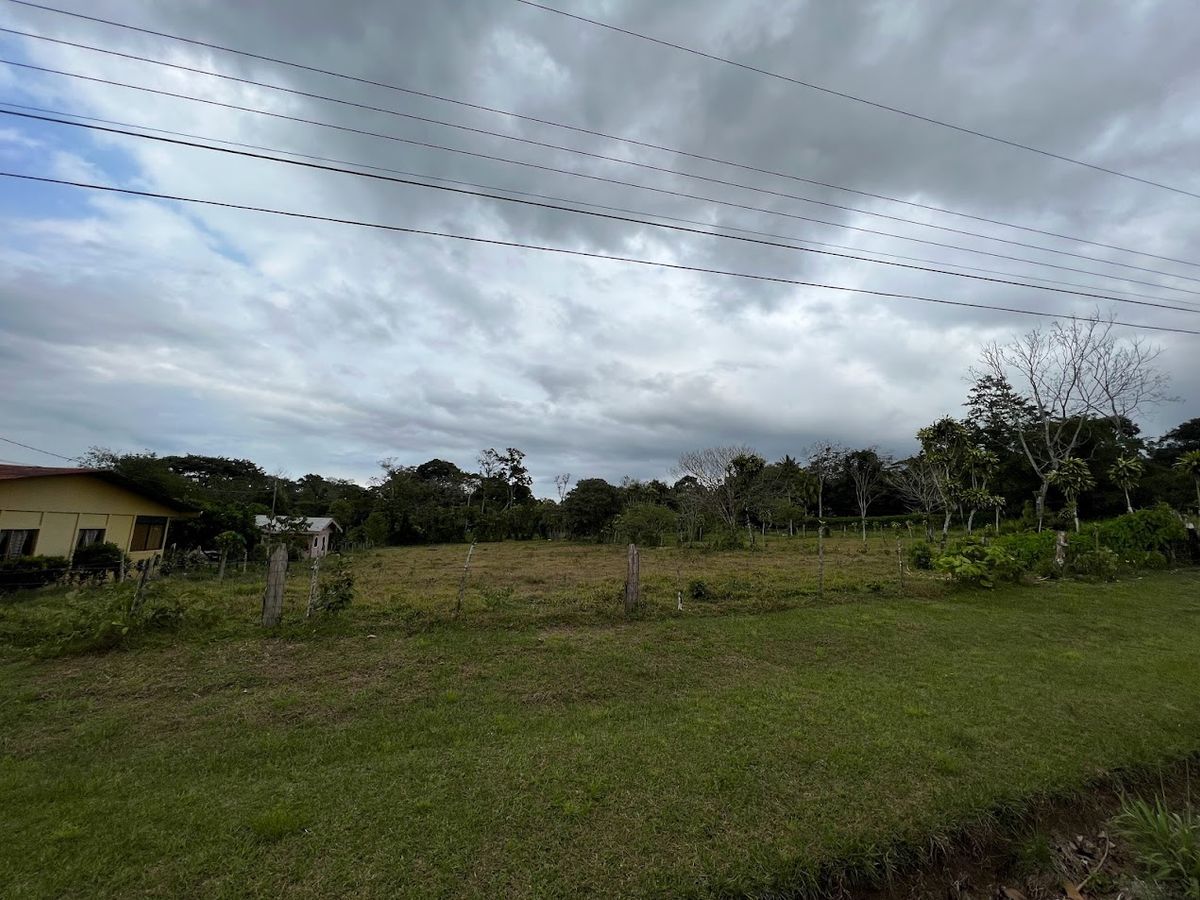 3,000 sqm Flat Lot in La Marina: Ready to Build & Prime Location