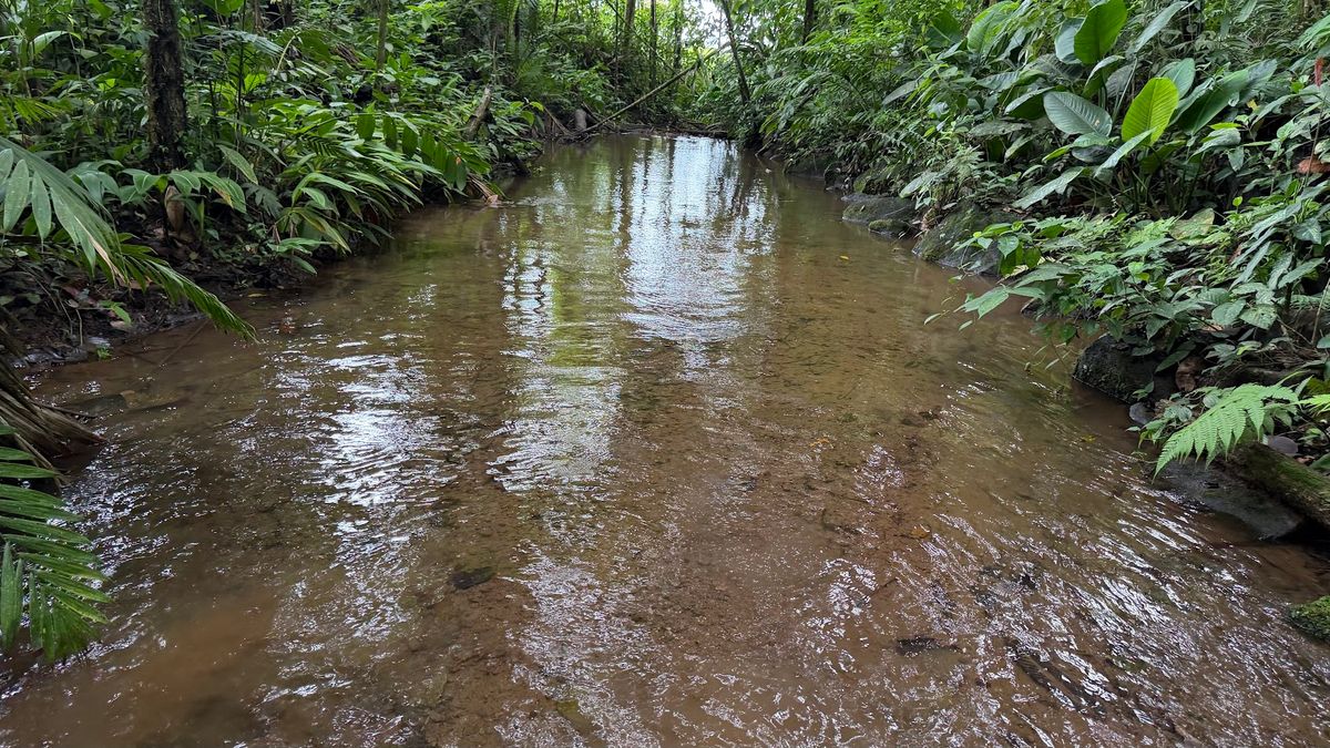 Finca Turística y Agropecuaria en San Carlos: Con Nacientes y Ríos