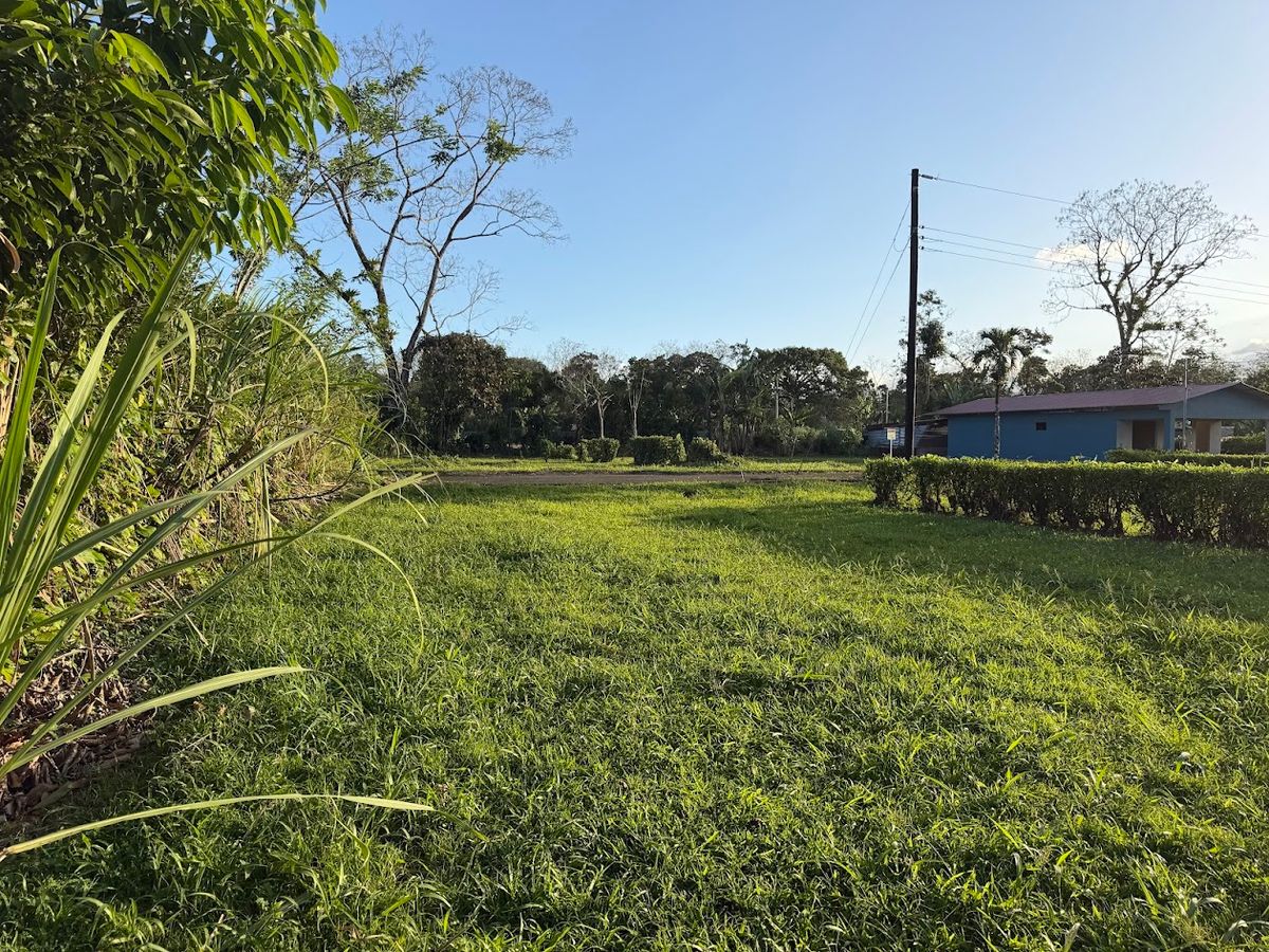 Lote de 400 metros cuadrados en Florencia de San Carlos