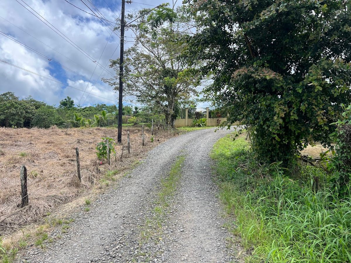 Lotes con precio de Oportunidad en Ciudad Quesada: en Puente Casa