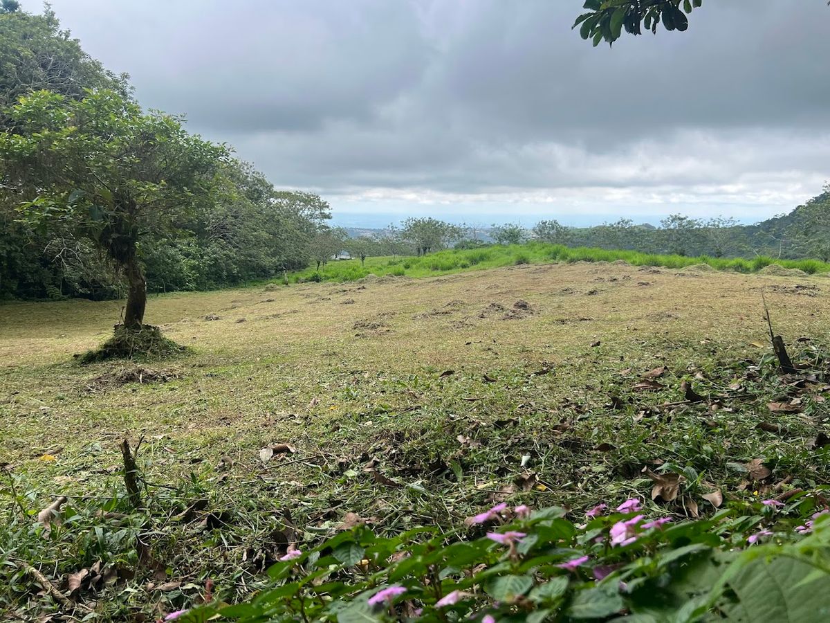 3,000 sqm Flat Lot in San Gerardo: Nature & Investment Opportunity