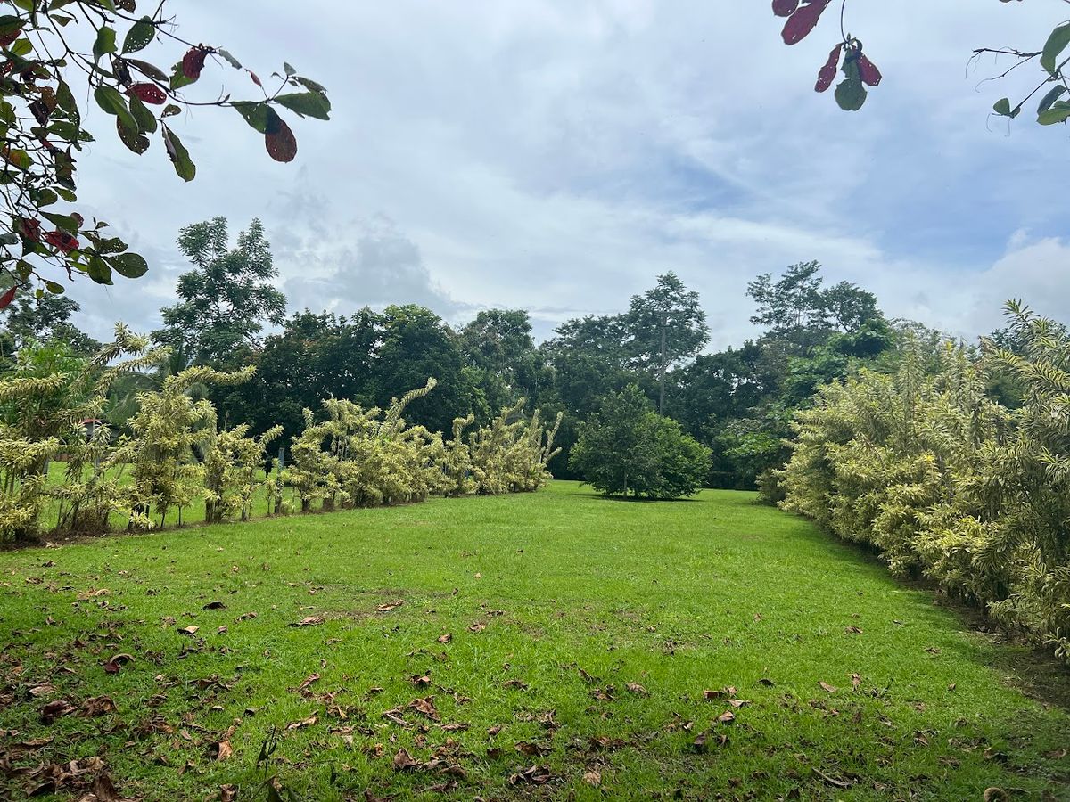 Lot in Cuestillas de Florencia: Privacy and Nature